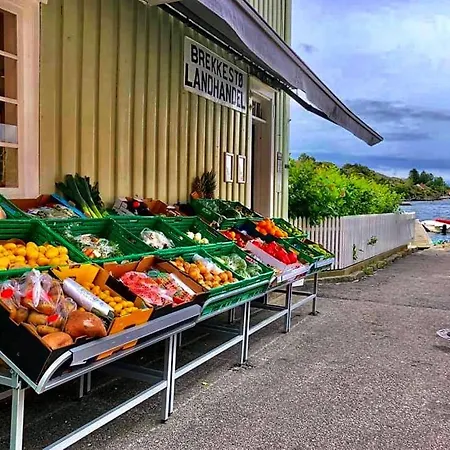 Idyllisk Perle Med Privat Sandstrand I Hjertet Av Sorlandet Mm Lillesand
