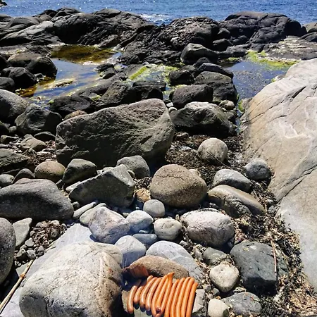 Idyllisk Perle Med Privat Sandstrand I Hjertet Av Sorlandet Mm Dom wakacyjny *